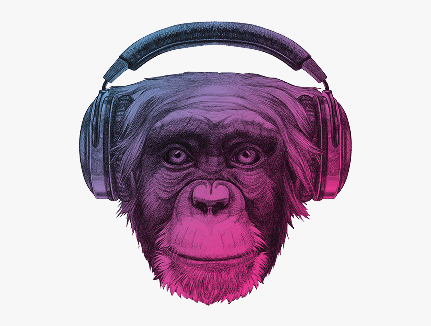 Ape Thinker S Contact Background - Chimpanzee With Headphones Colorful, HD Png Download