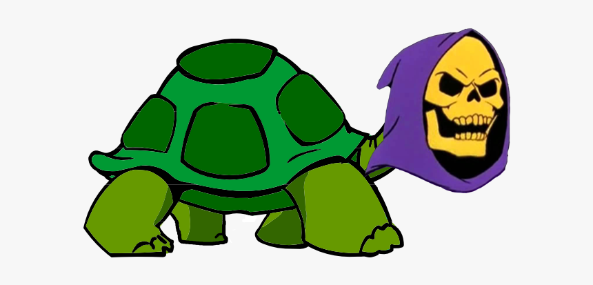 Cartoon Tortoise With Transparent Background, HD Png Download
