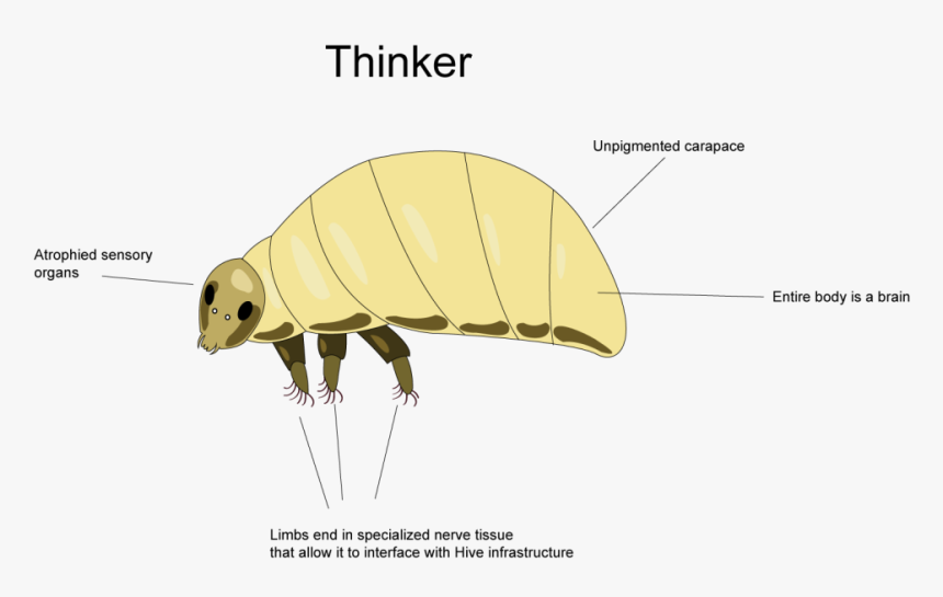 Bee , Png Download - Bee, Transparent Png