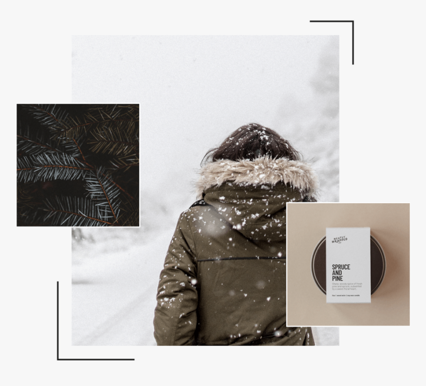 Lookbook Montage Sprucepine - Winter, HD Png Download