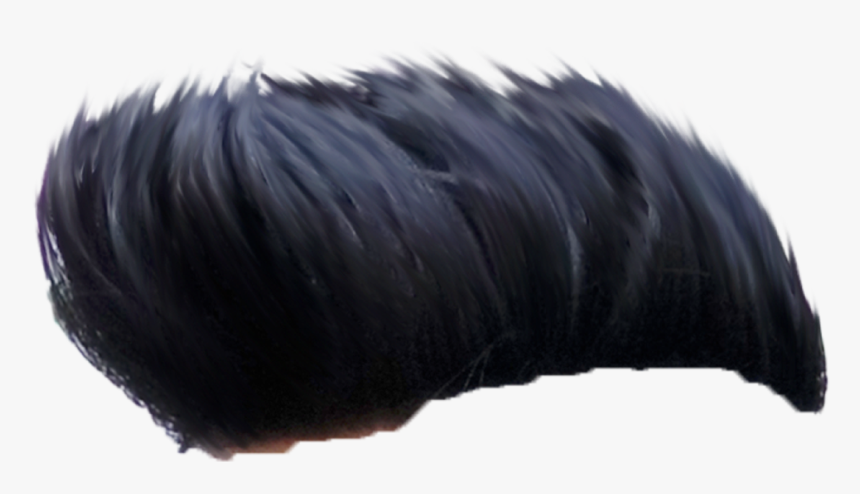 Hair Png - Leather, Transparent Png