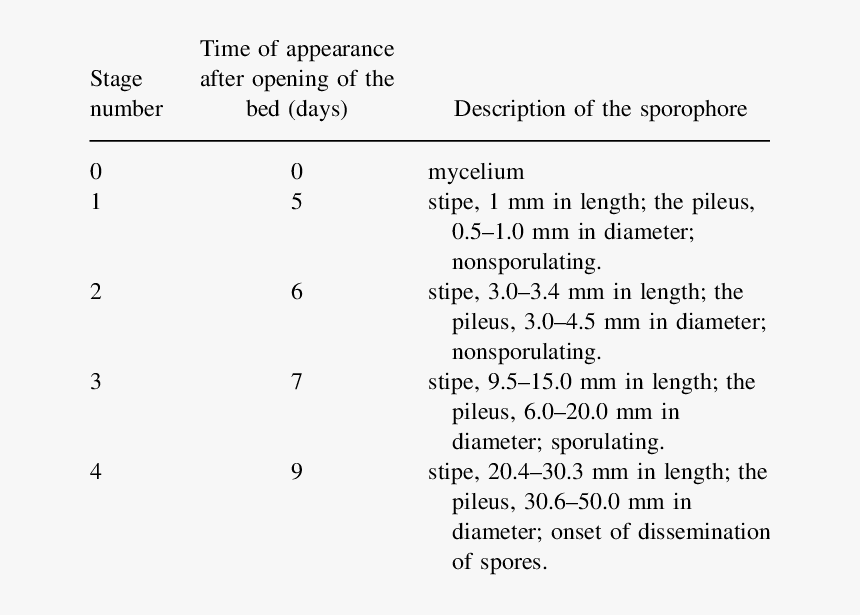 Number, HD Png Download
