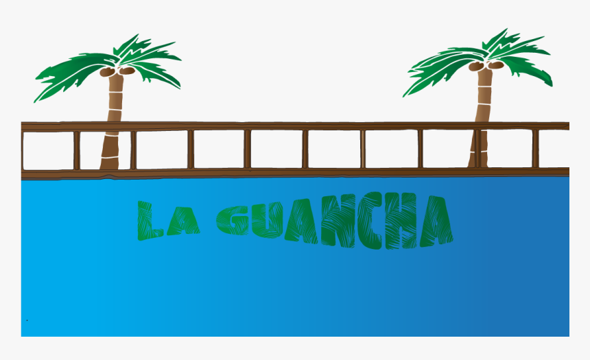 Some Of My Rejected Geofilters - Attalea Speciosa, HD Png Download