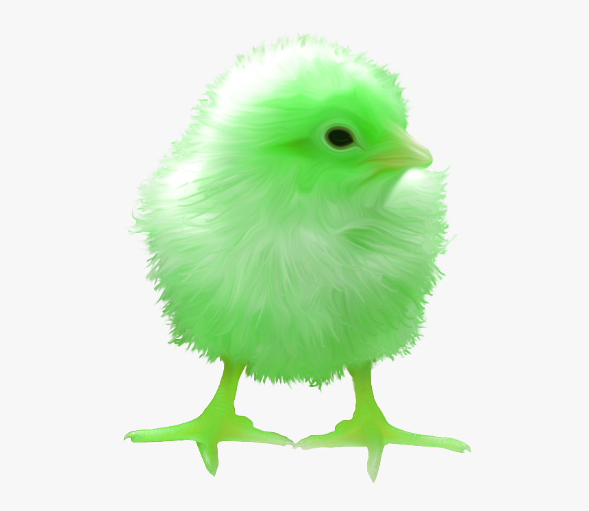 Surreal Memes Wiki - Raven Chick, HD Png Download