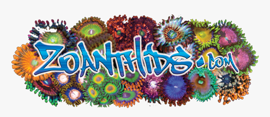 Fête De La Musique, HD Png Download