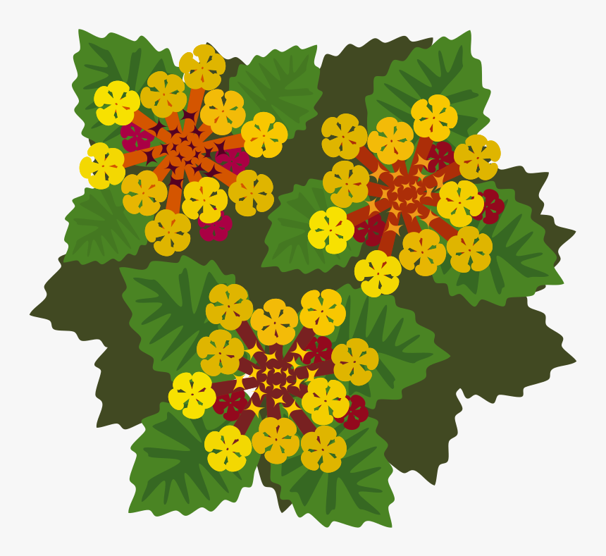 Flower - Lantana Flower Clipart, HD Png Download