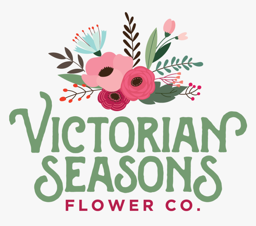 Vsfclogo - Illustration, HD Png Download