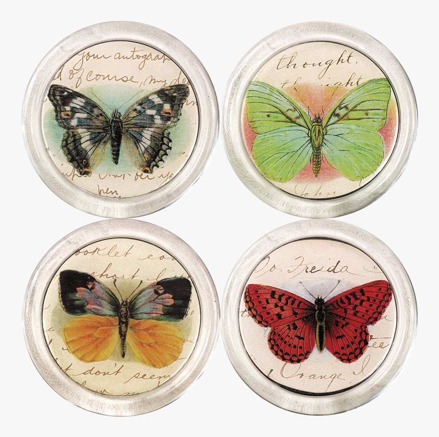 Papilio Machaon, HD Png Download