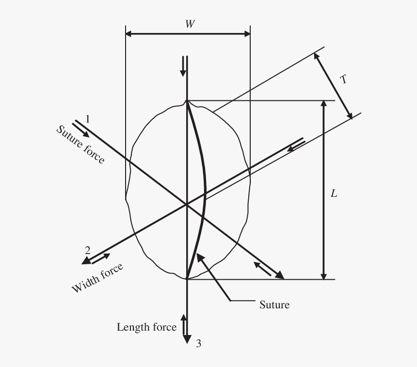Diagram, HD Png Download