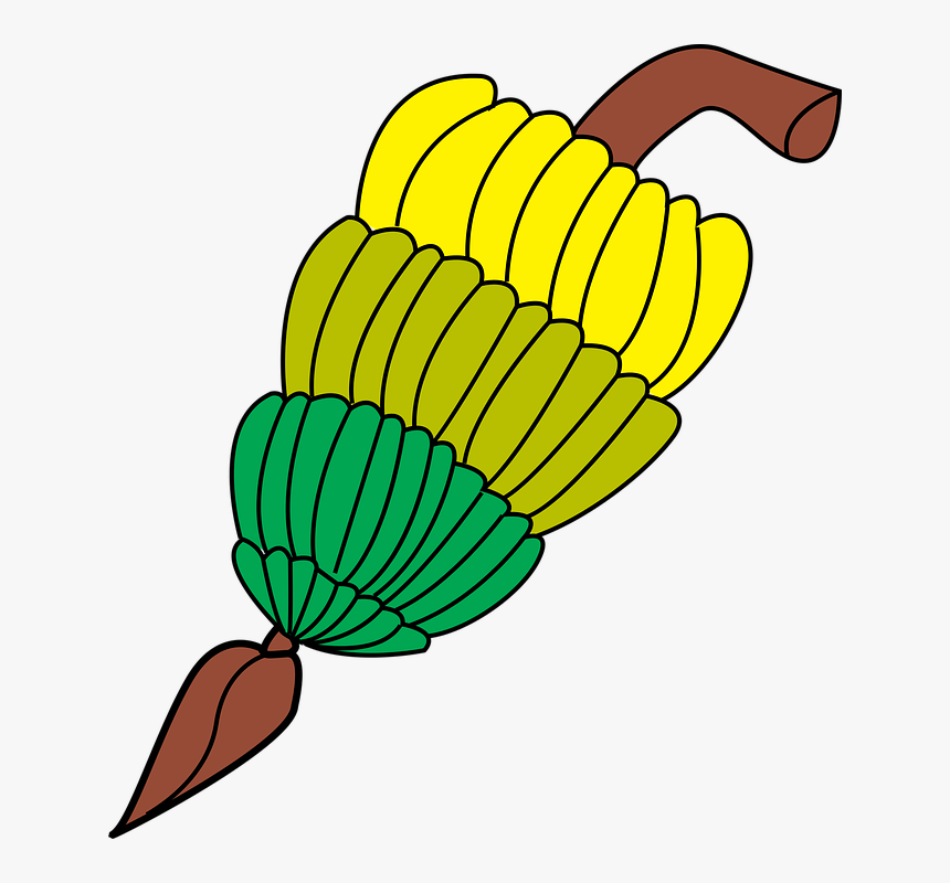 Banana Plant Cliparts 15, Buy Clip Art - Banana Logotipo Em Png, Transparent Png