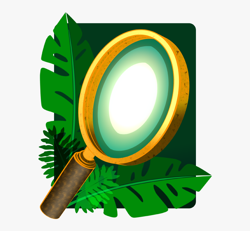 Live Casino India, HD Png Download