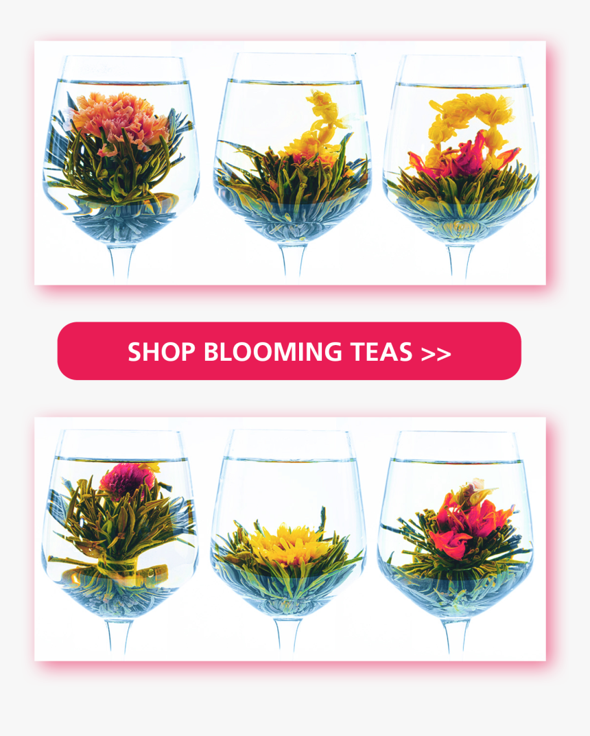 Bouquet, HD Png Download