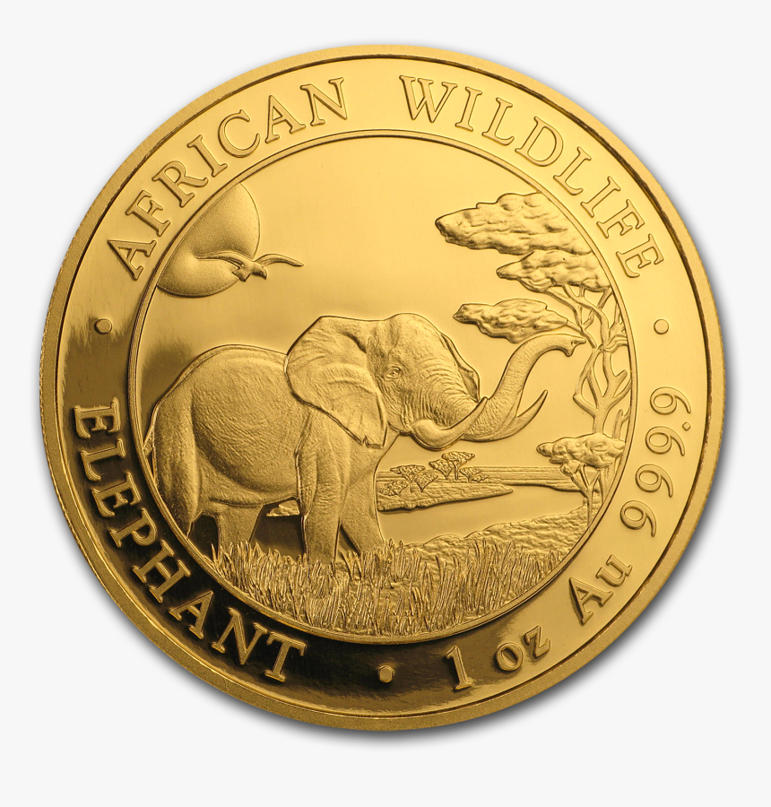 Dominican Republic Gold Coins, HD Png Download