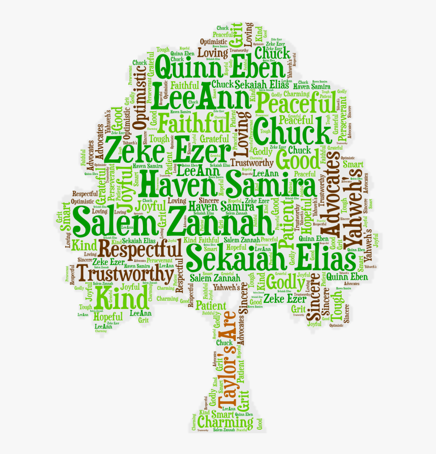 Orange, HD Png Download