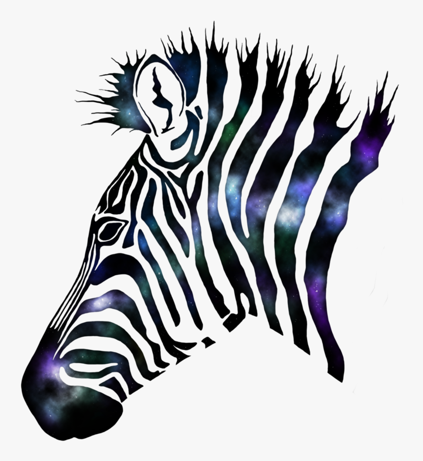 894 X 894 - Galaxy Zebra, HD Png Download