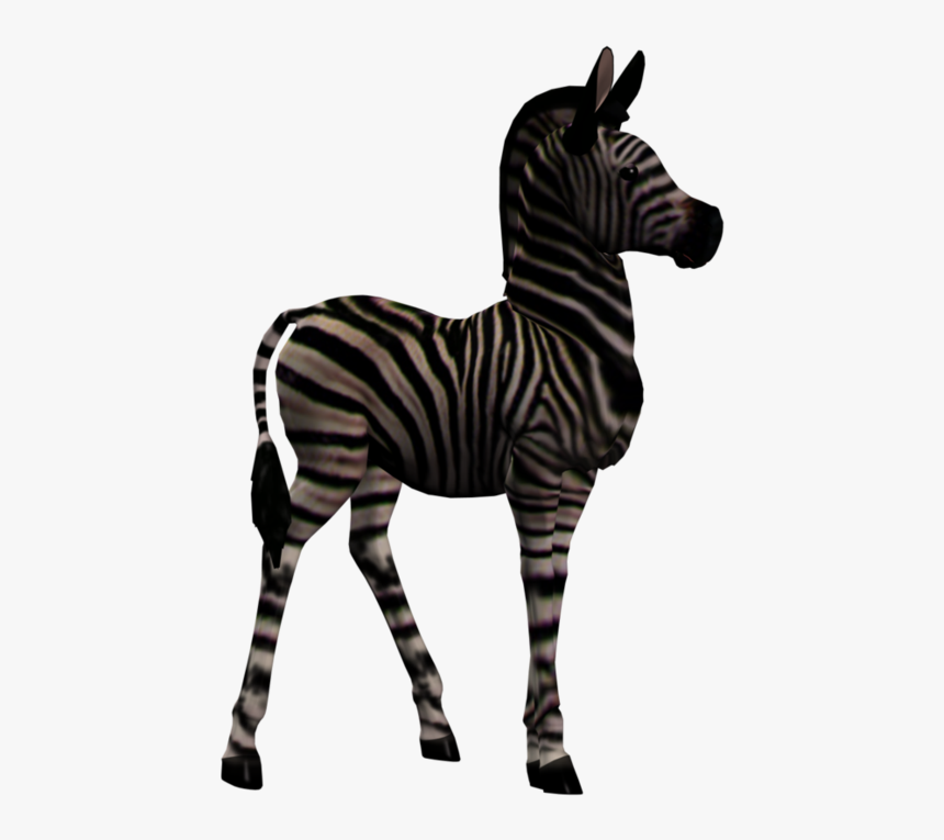 Quagga, HD Png Download