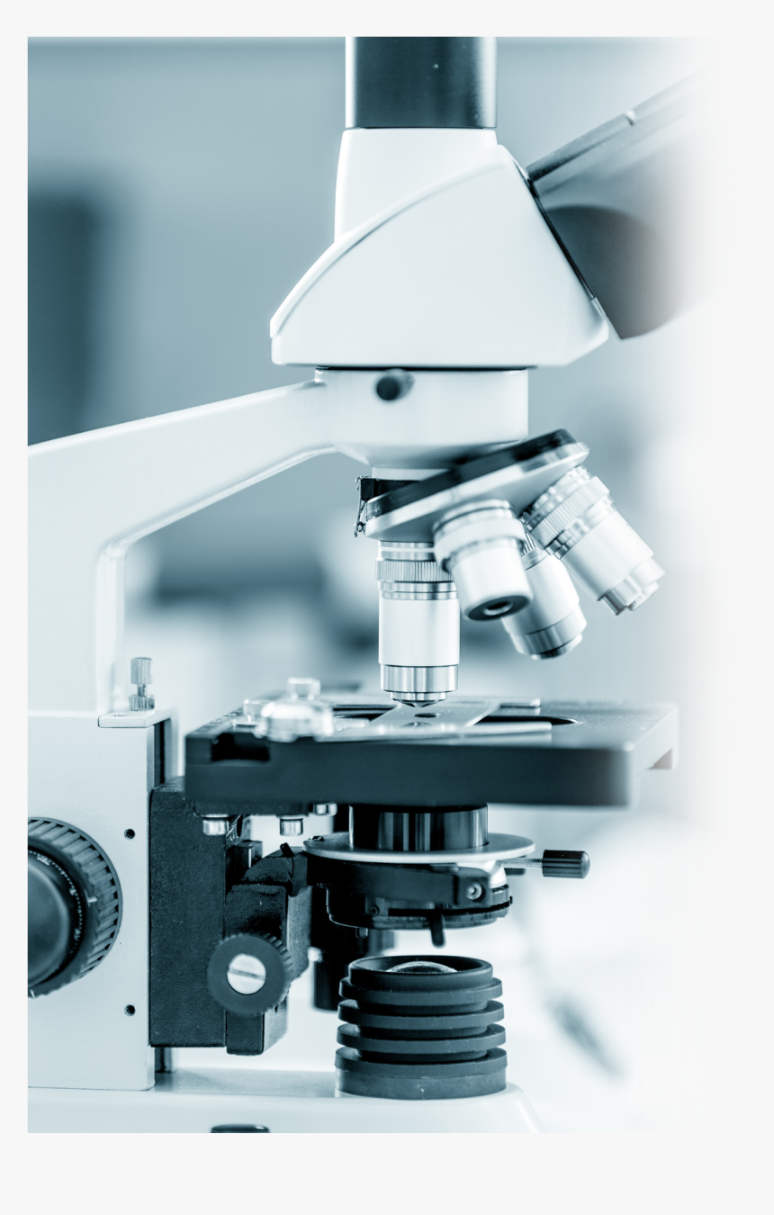 54 Pm 7636 Mosquito 12/10/2015 - Laboratoire Médical, HD Png Download