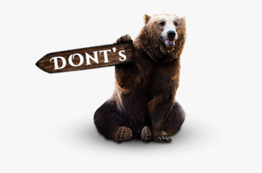 Grizzly Bear, HD Png Download