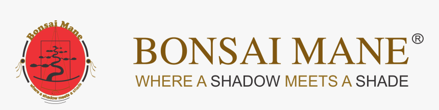 Canadian Federation Of Catholic Physicians, HD Png Download