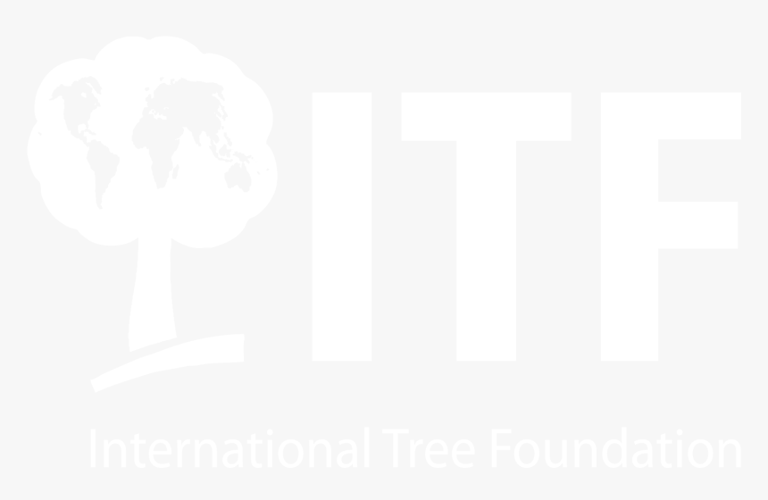 Organisation For Saving Tree, HD Png Download