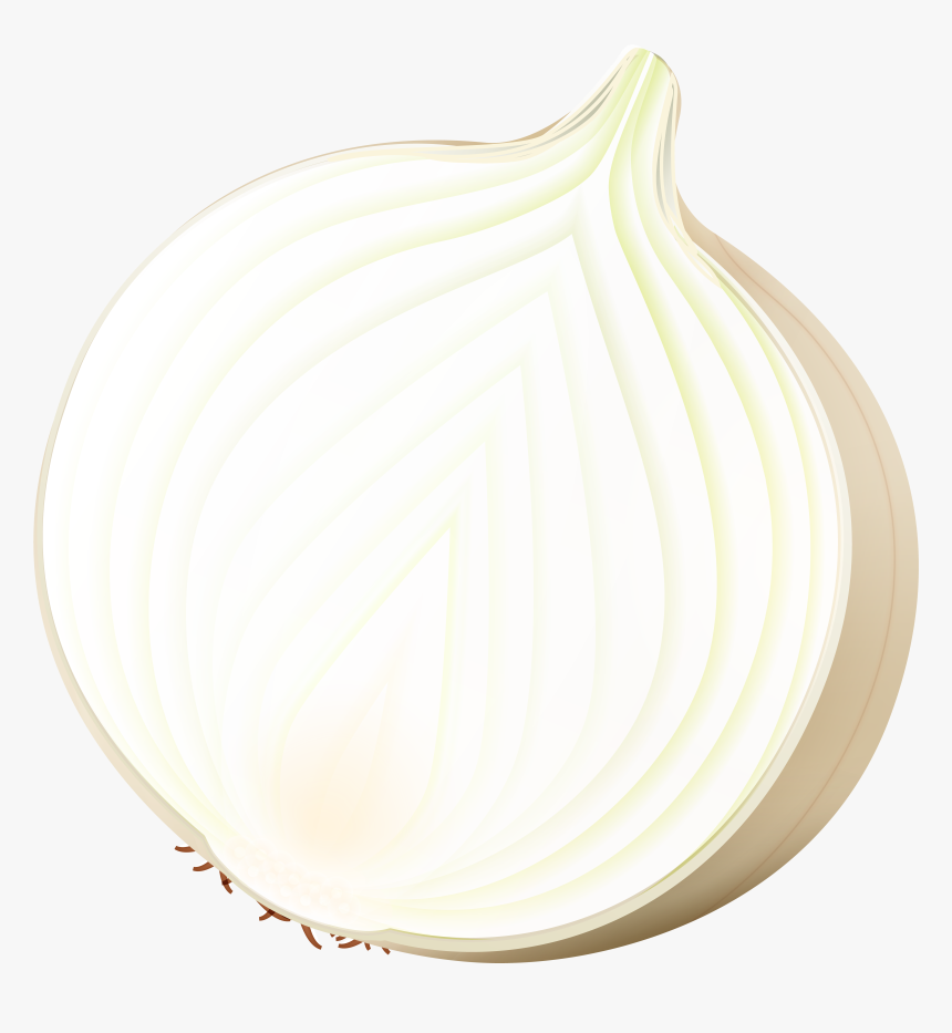 Onion Png Clip Art Image , Png Download, Transparent Png