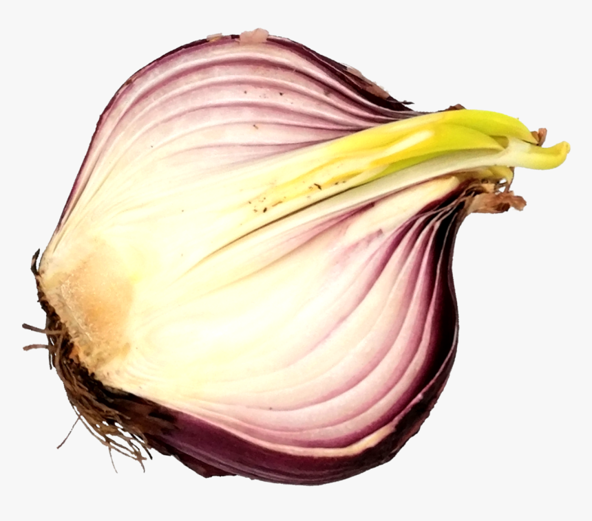 Sliced Onion 6 - Red Onion, HD Png Download