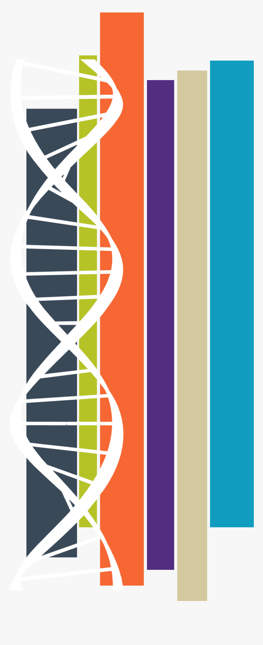 Decorative Image Of Dna - Super Junior M, HD Png Download