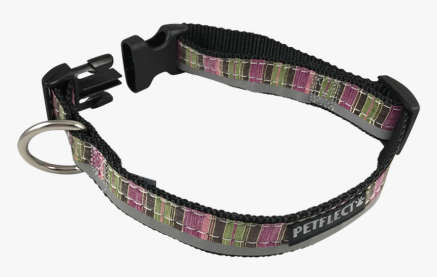Green Purple Vertically Striped Dog Collar - Strap, HD Png Download