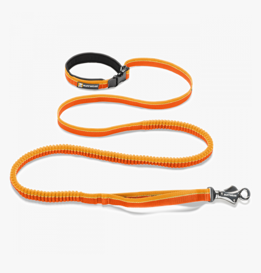 Main Product Photo - Leash, HD Png Download