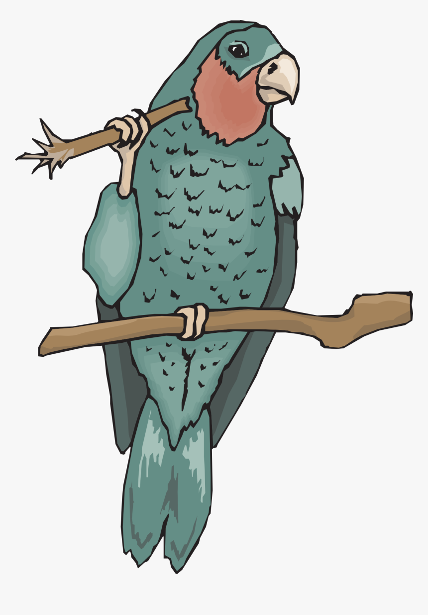 Parrot, HD Png Download