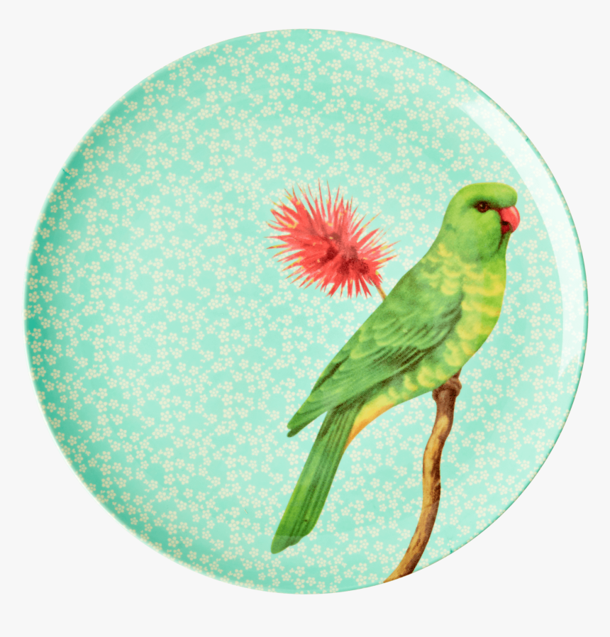 רקע מנטה, HD Png Download