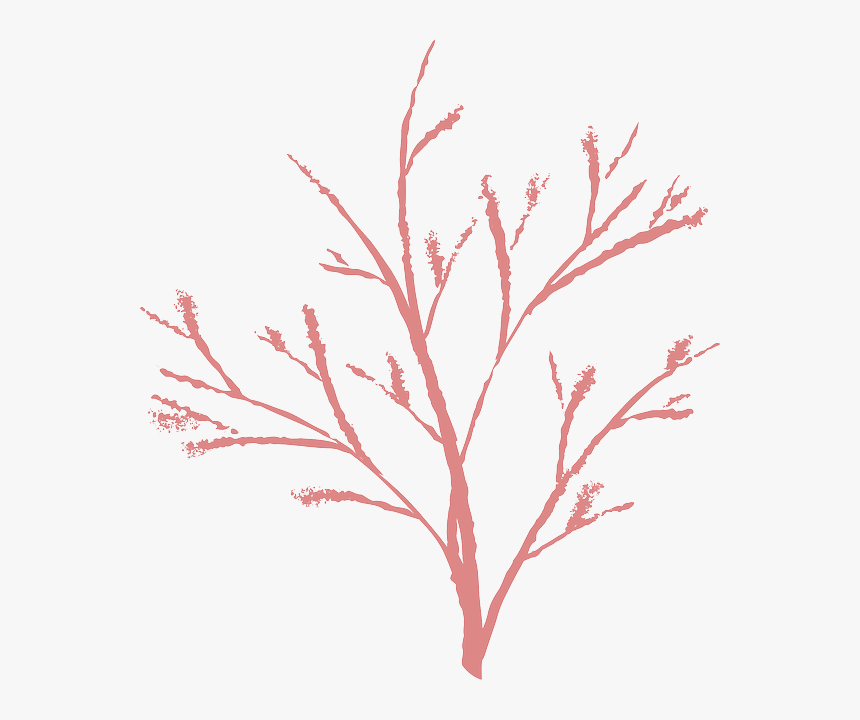 Nature, Winter, Twig, Dead, Bush - Png Ranting, Transparent Png