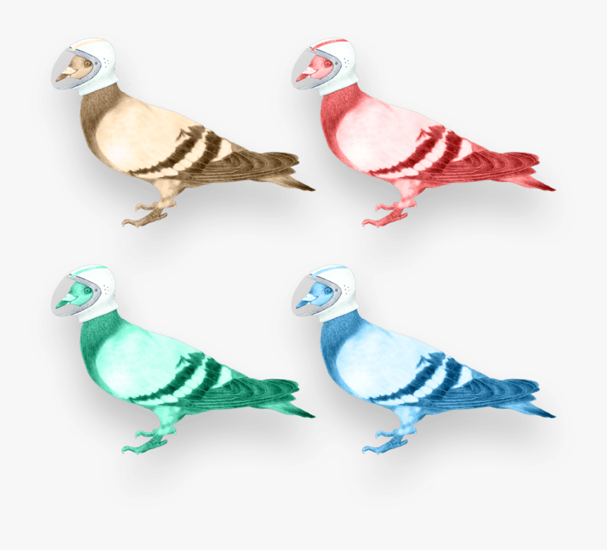 Your Digital Partners In Crime - Pigeons And Doves, HD Png Download