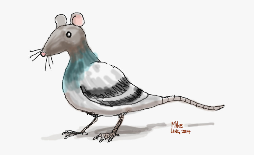 Rat Flying A Bird, HD Png Download