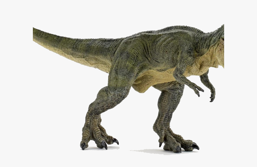 T Rex Closed Mouth, HD Png Download