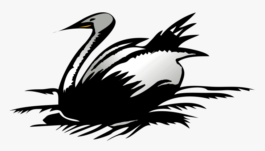 Wildlife,water Bird,duck - Duck Diagram In Png, Transparent Png