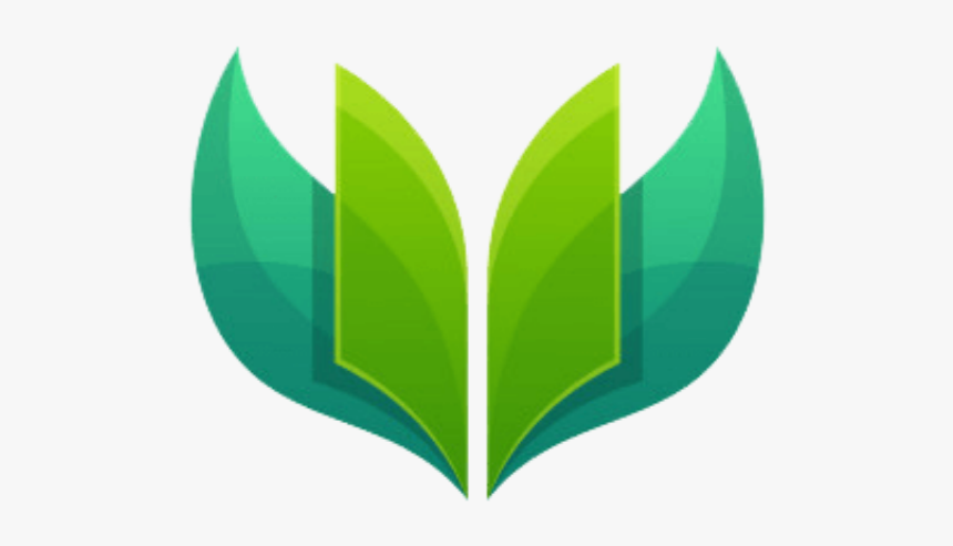 Scholar International Public School, HD Png Download