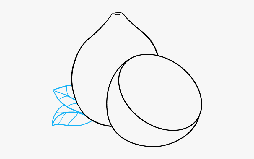 How To Draw Lemon - Line Art, HD Png Download