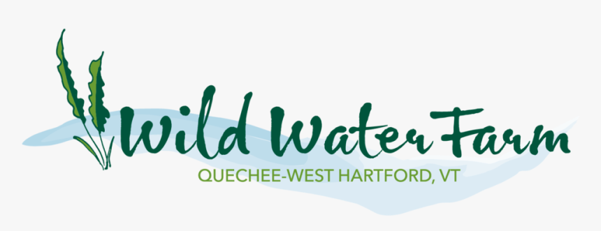 Wwf Full Color - Calligraphy, HD Png Download