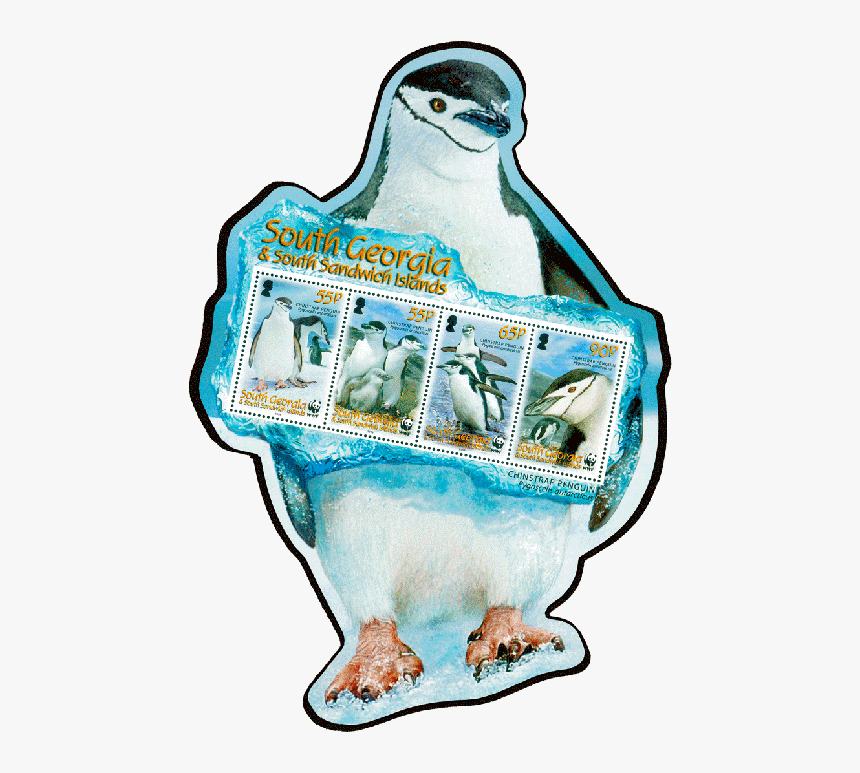 South Georgia & Sandwich Islands 2008 Penguin Stamp, HD Png Download