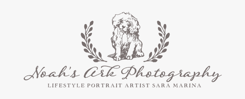 Masai Lion, HD Png Download