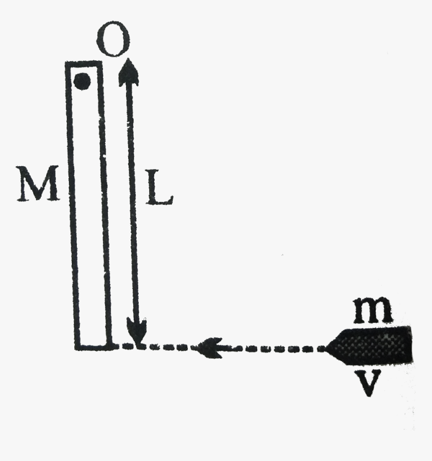 Calligraphy, HD Png Download