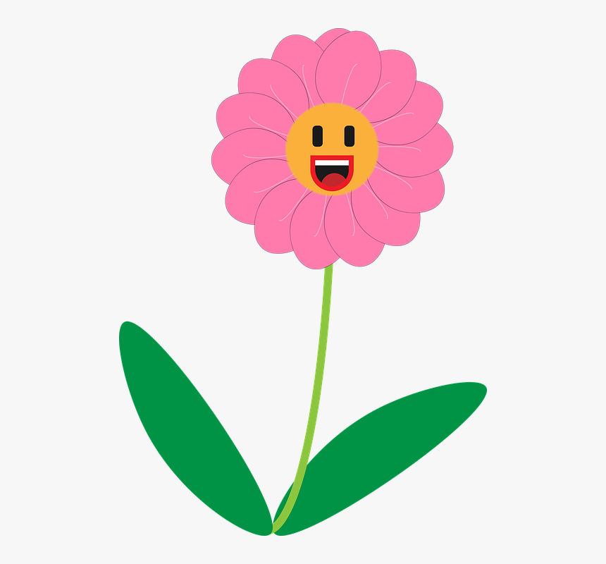 Sunflower, HD Png Download