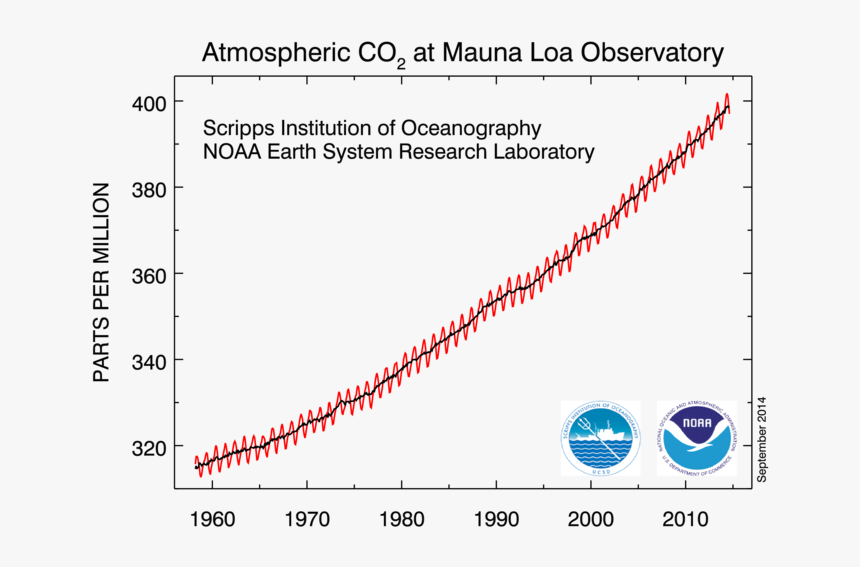 Enter Image Description Here - Carbon Dioxide Seasonal Variation, HD Png Download