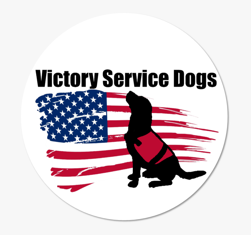 Usa Flag Png Transparent, Png Download