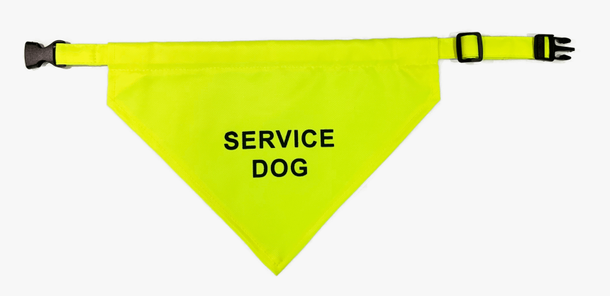 Umbrella, HD Png Download