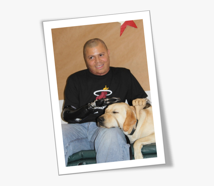 Companion Dog, HD Png Download