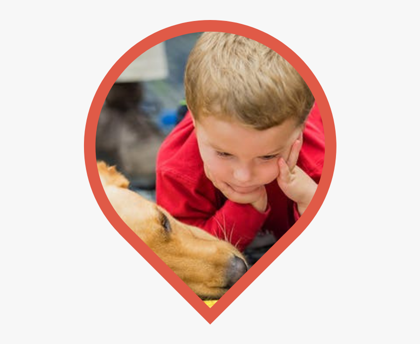 Can Service Dogs Help With Anxiety - Toddler, HD Png Download