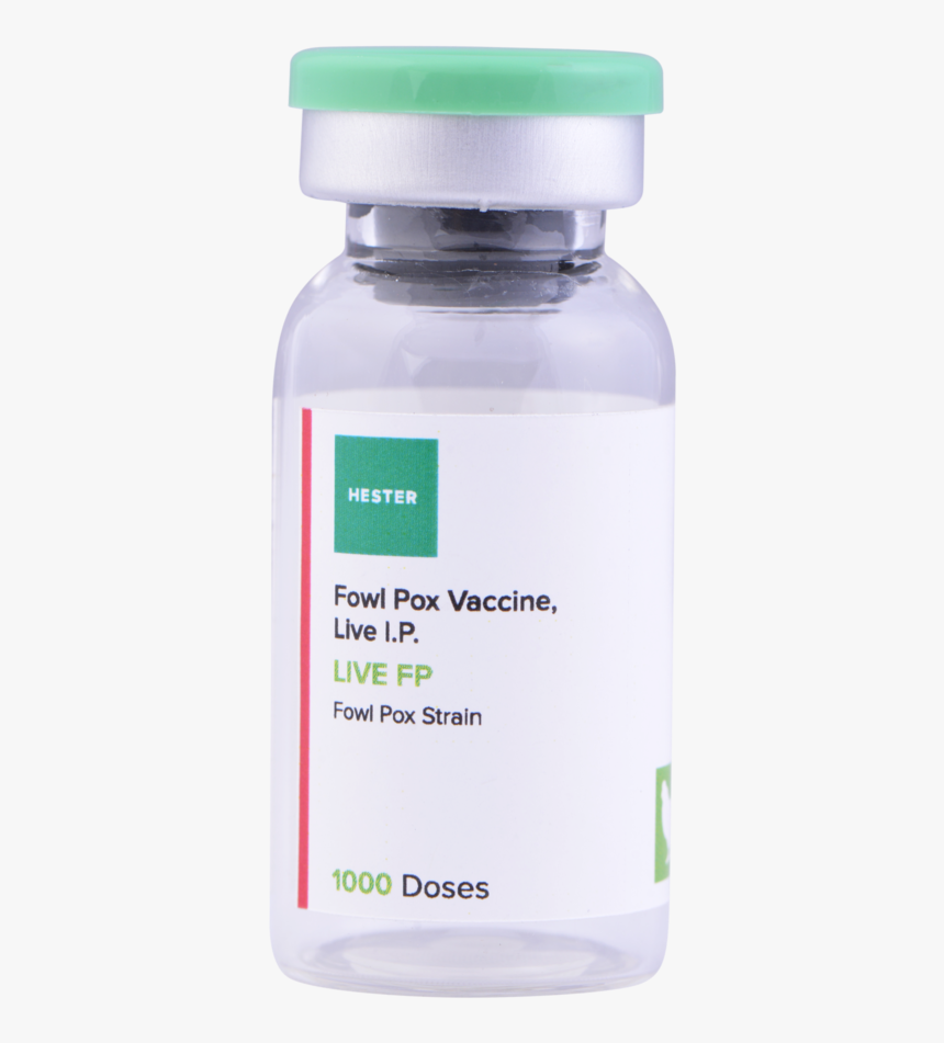 Live Fp 1000 - Vaccine Bottle Png Transparent, Png Download