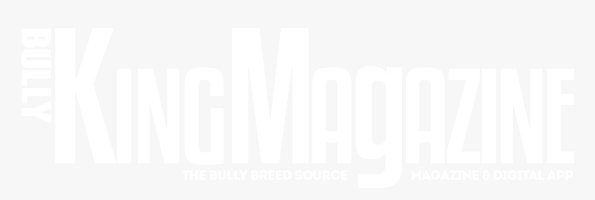 Darkness, HD Png Download